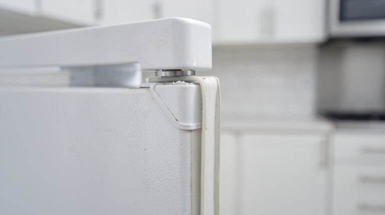 Refrigerator Door Seal Failing 1