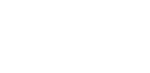DSC logo